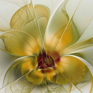 Meet your Posher, Desi